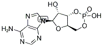腺苷 - 3 ' - 5 ' - 环磷酸